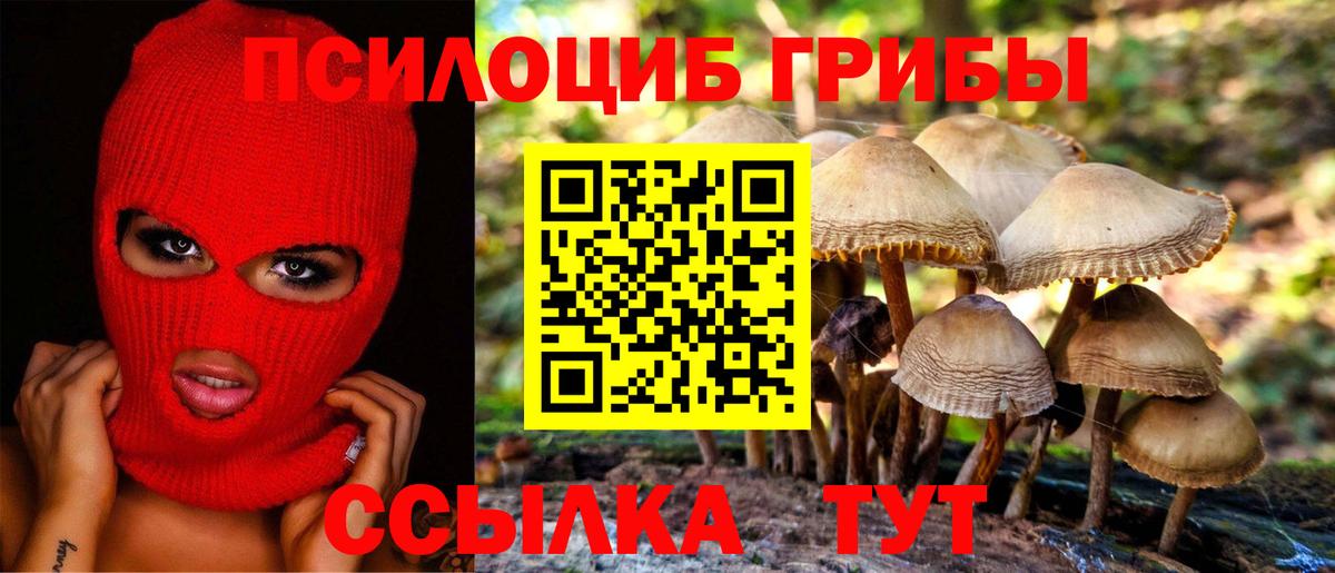 закладка  Галлюциногенные грибы мухоморы  Тихвин  Вход с VPN  Галлюциногенные грибы мицелий 